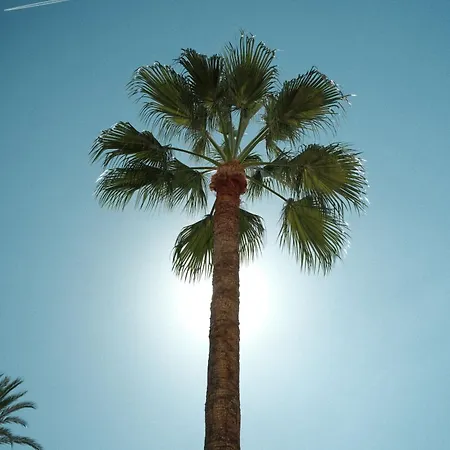 La - - Face à La - Climatisation * Menton