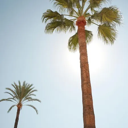 La - - Face à La - Climatisation * Menton