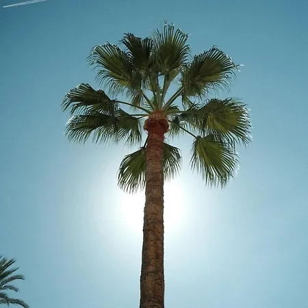 Holiday home La - - Face A La - Clim Terrasse Menton