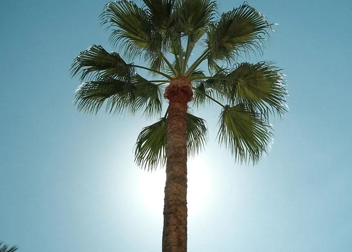 La - - Face A La - Clim Terrasse * Menton